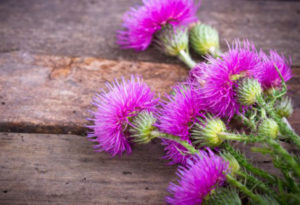 shutterstock-146845253-690x460_730-425-0-0